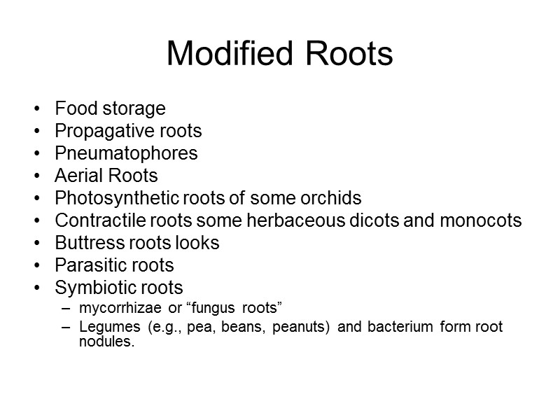 Modified Roots Food storage  Propagative roots  Pneumatophores Aerial Roots  Photosynthetic roots